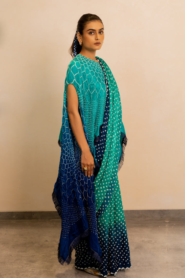 Dots Shaded Saree
