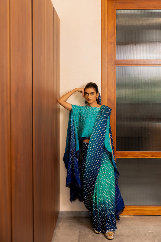Dots Shaded Saree