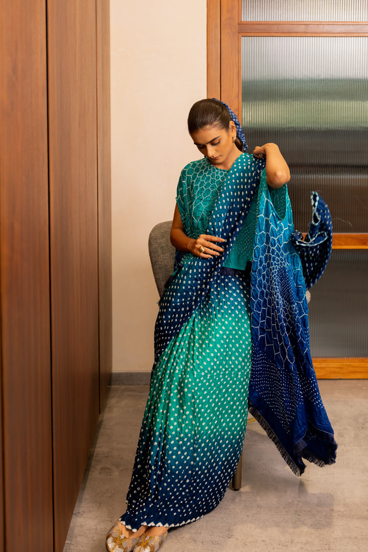 Dots Shaded Saree