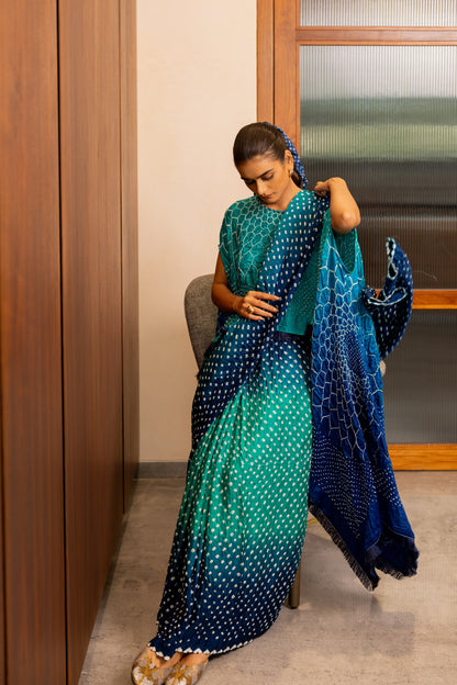 Dots Shaded Saree