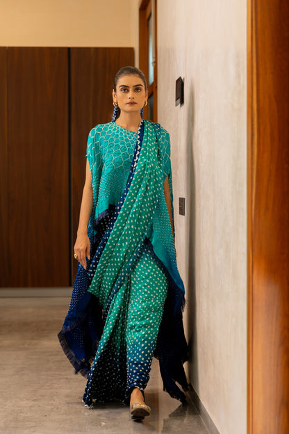 Dots Shaded Saree