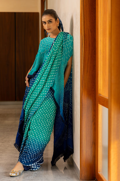 Dots Shaded Saree