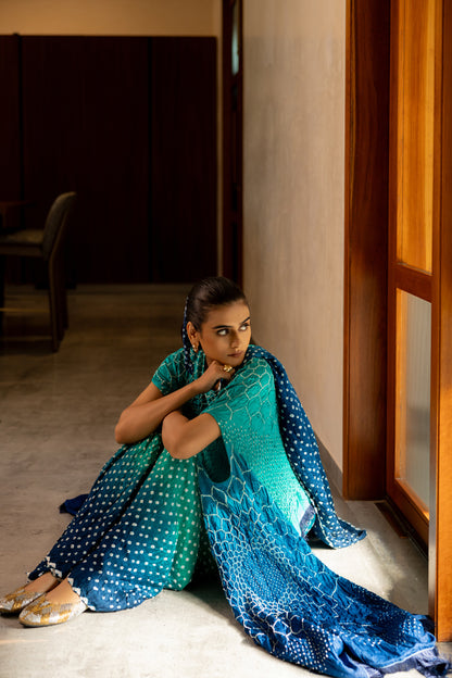 Dots Shaded Saree